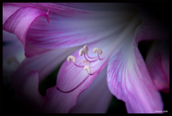 Image Hosted by ImageShack.us